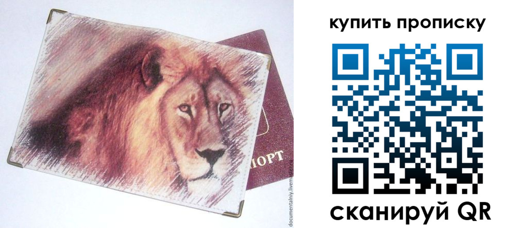 прописка паспорт в Хотьково